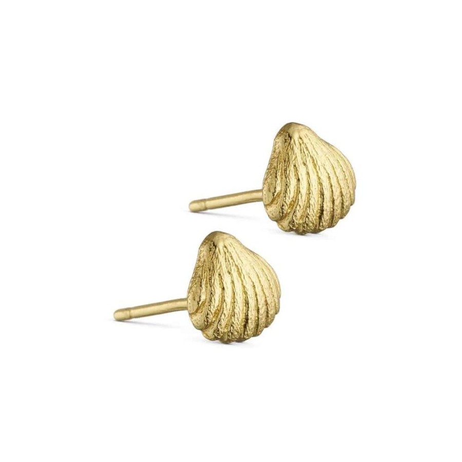 Earrings Pure By Nat | Sea Shell Stud Earrings