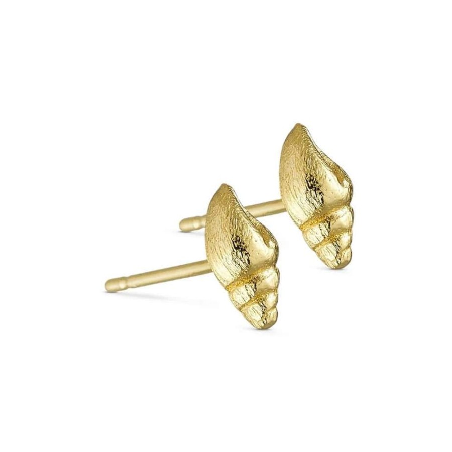 Earrings Pure By Nat | Conch Shell Stud Earring - Gold Plated