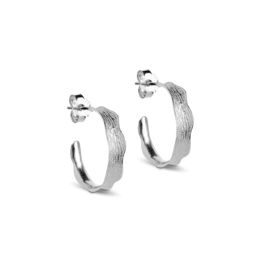 Earrings Enamel | Silver Small Ane Hoop Earring