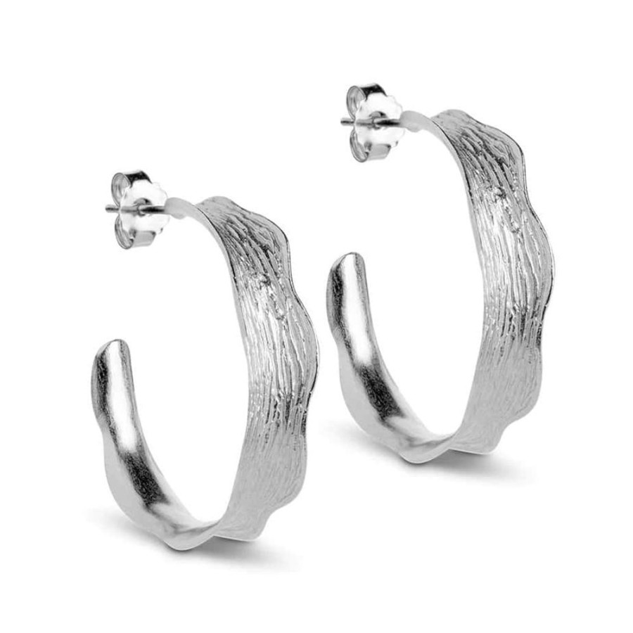 Earrings Enamel | Silver Large Ane Hoop Earring