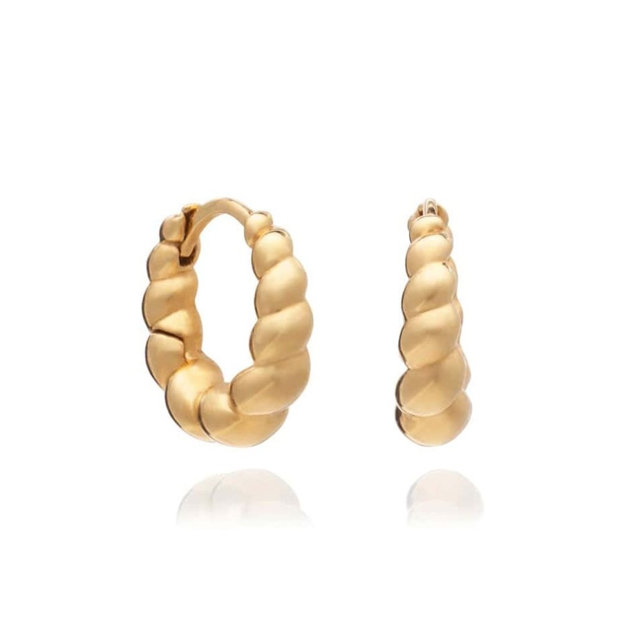 Earrings Rachel Jackson | Chubby Twisted Huggie Hoop Earrings