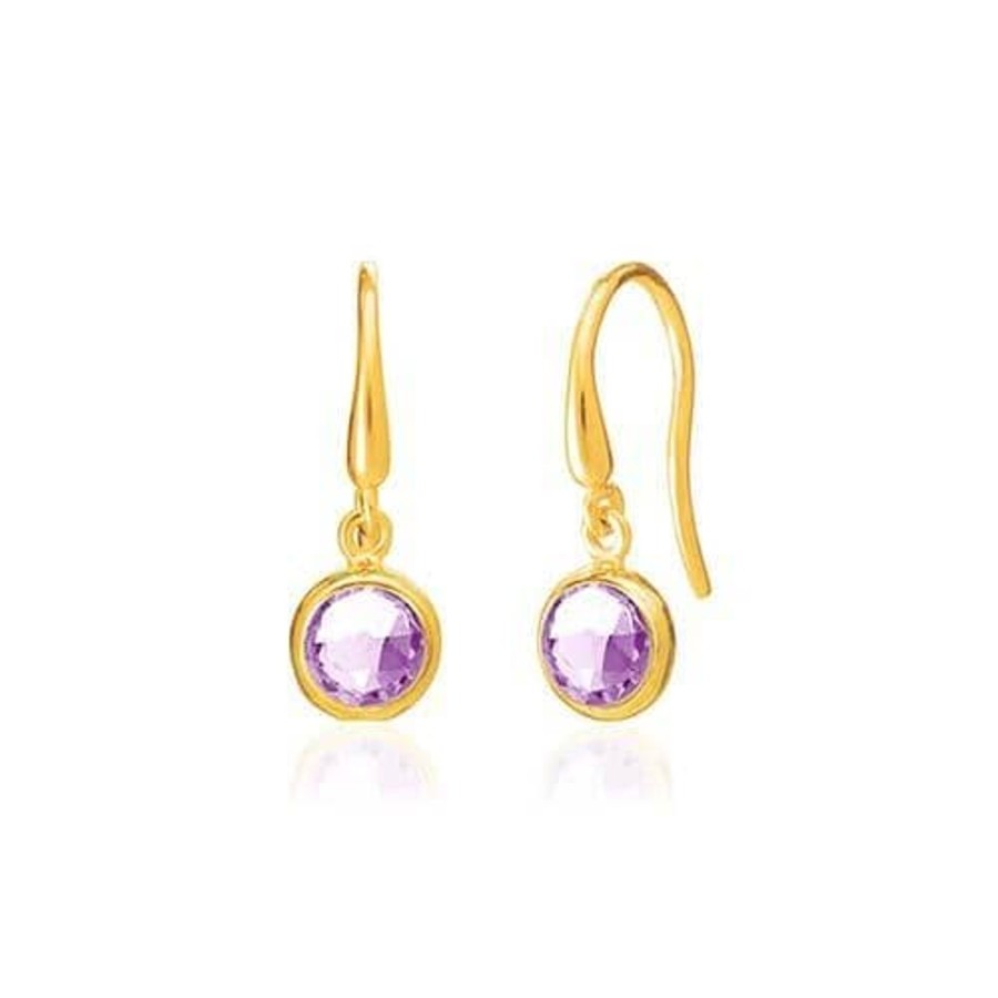 Earrings Luceir Jewellery | February Birthstone Drop Earrings - Amethyst