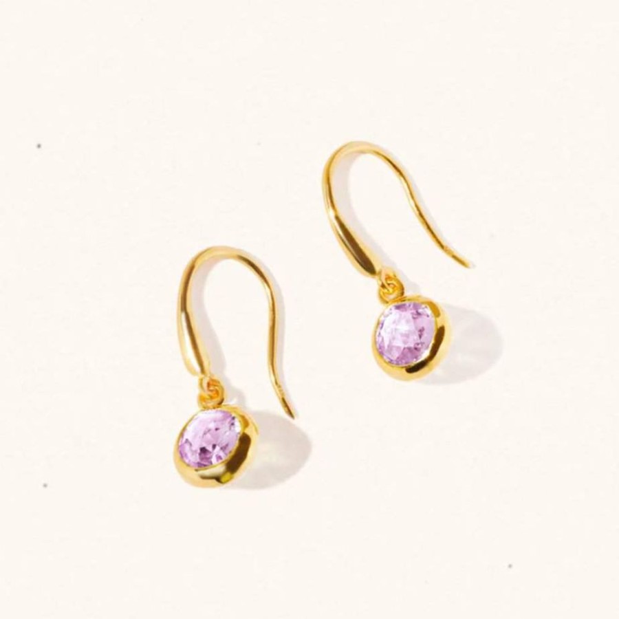 Earrings Luceir Jewellery | February Birthstone Drop Earrings - Amethyst